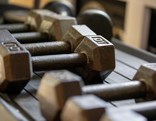 A selection of dumbbells.